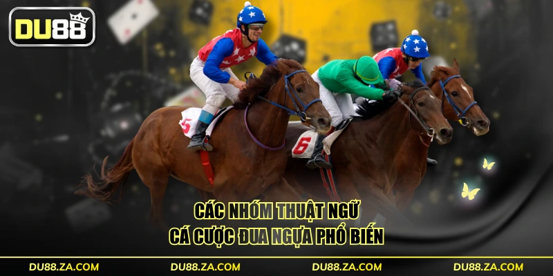Thuật Ngữ Cá Cược Đua Ngựa - Tổng Hợp 50 Từ Vựng Chuẩn 3 Các nhóm thuật ngữ cá cược đua ngựa phổ biến