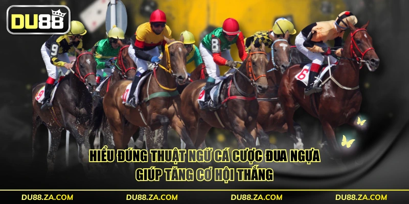 Thuật Ngữ Cá Cược Đua Ngựa - Tổng Hợp 50 Từ Vựng Chuẩn 2 Hiểu đúng thuật ngữ cá cược đua ngựa giúp tăng cơ hội thắng