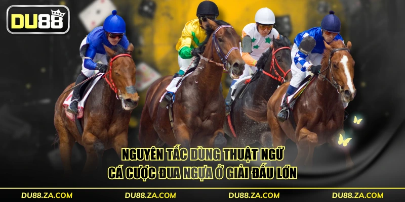 Thuật Ngữ Cá Cược Đua Ngựa - Tổng Hợp 50 Từ Vựng Chuẩn 4 Nguyên tắc dùng thuật ngữ cá cược đua ngựa ở giải đấu lớn